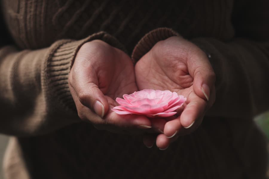 counselling and helping professions - a flower cupped in a woman's hands counselling and helping professions have certain shared values