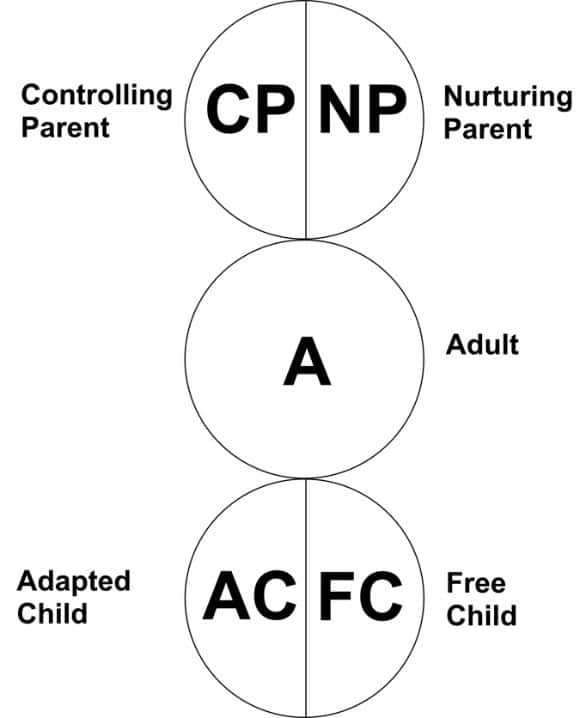 Functional Model of Ego States The Functional Model of Ego States subdivides the states and give them behavioural descriptions