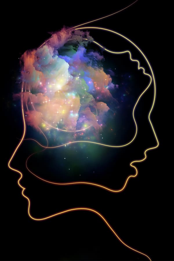 id, ego and superego The id, ego and superego are the 'Freudian tripartite structure of the personality’