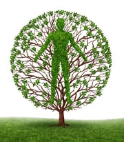 Person-Centred Approach to Counselling The person-centred approach to counselling belongs to the humanistic school of therapy