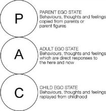 transactional analysis - The Ego States Transactional analysis - The Structural Model of Ego States suggests that our personality is divided, but not necessarily in equal proportions, into the Parent, the Adult and the Child ego states.